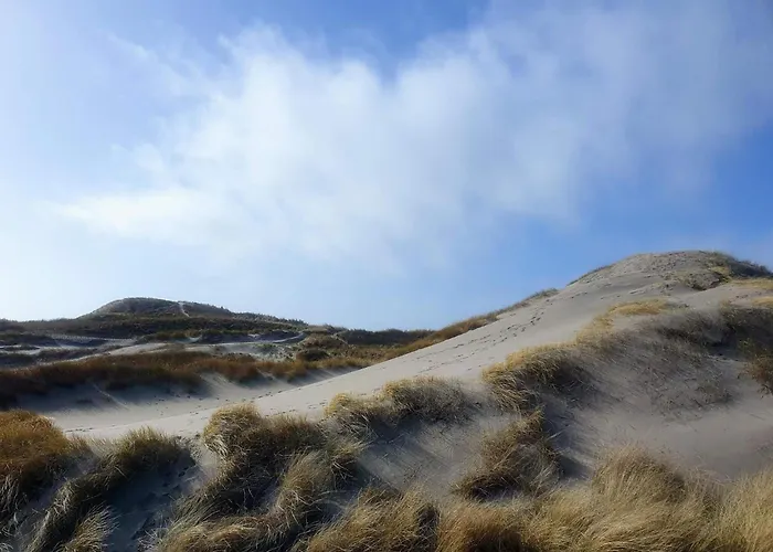 4 Person In Ringkobing-by Traum Ringkobing