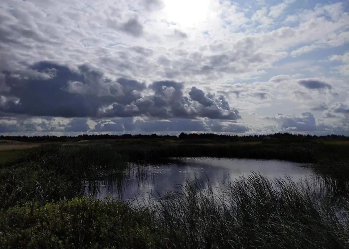 Holiday home 4 Person In Ringkobing-by Traum