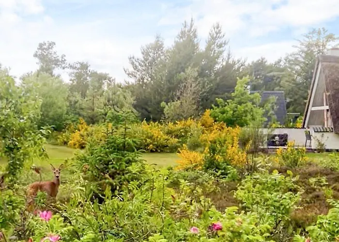 4 Person In Ringkobing-by Traum *